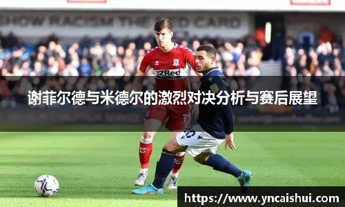 谢菲尔德与米德尔的激烈对决分析与赛后展望